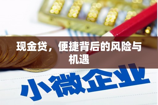 德兴现金贷，便捷背后的风险与机遇