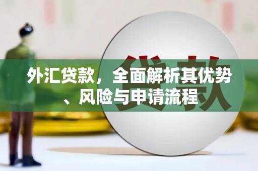 德兴外汇贷款，全面解析其优势、风险与申请流程