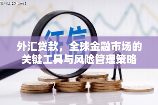 德兴外汇贷款，全球金融市场的关键工具与风险管理策略