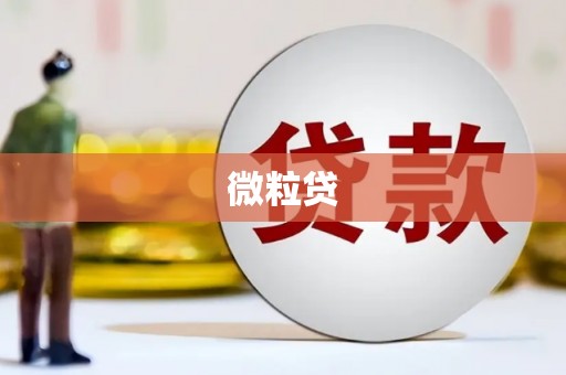 德兴微粒贷