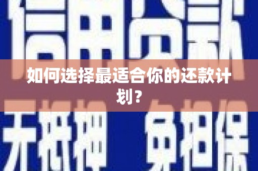 德兴如何选择最适合你的还款计划？