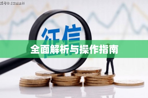 德兴全面解析与操作指南