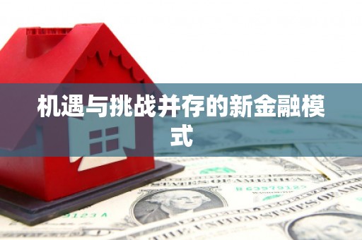 德兴机遇与挑战并存的新金融模式