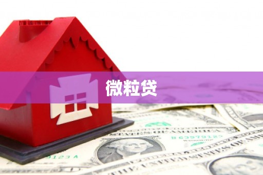 德兴微粒贷