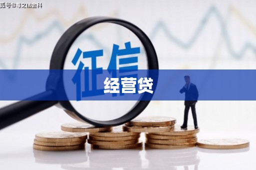 德兴经营贷