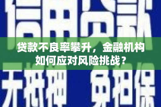 德兴贷款不良率攀升，金融机构如何应对风险挑战？
