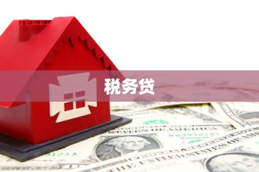 德兴税务贷