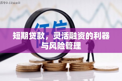 德兴短期贷款，灵活融资的利器与风险管理