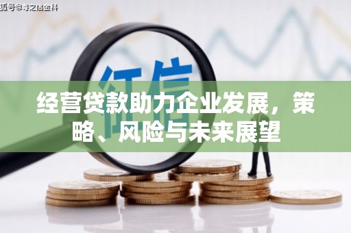 德兴经营贷款助力企业发展，策略、风险与未来展望