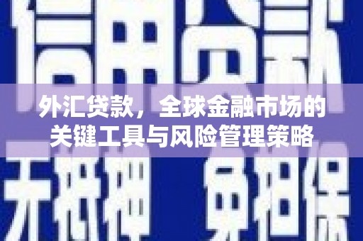 德兴外汇贷款，全球金融市场的关键工具与风险管理策略