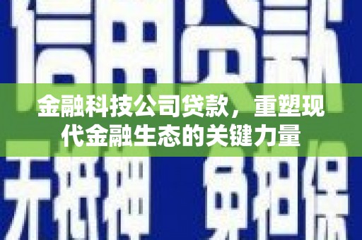 德兴金融科技公司贷款，重塑现代金融生态的关键力量