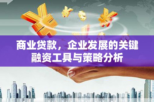 德兴商业贷款，企业发展的关键融资工具与策略分析