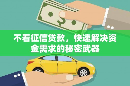 德兴不看征信贷款，快速解决资金需求的秘密武器