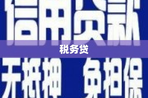 德兴税务贷