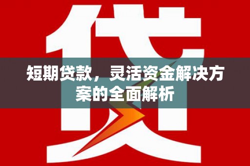 德兴短期贷款，灵活资金解决方案的全面解析