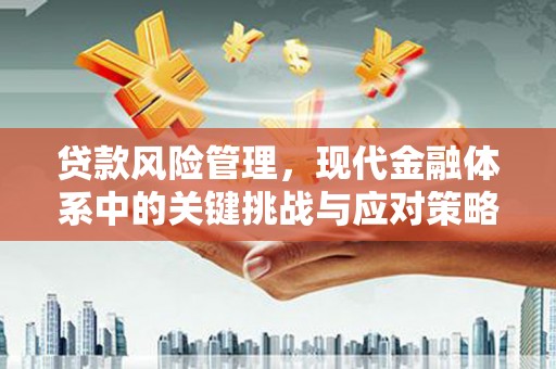 德兴贷款风险管理，现代金融体系中的关键挑战与应对策略
