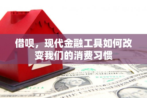 德兴借呗，现代金融工具如何改变我们的消费习惯