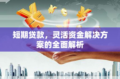 德兴短期贷款，灵活资金解决方案的全面解析
