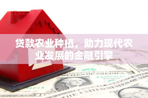 德兴贷款农业种植，助力现代农业发展的金融引擎