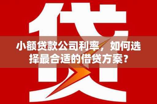 德兴小额贷款公司利率，如何选择最合适的借贷方案？