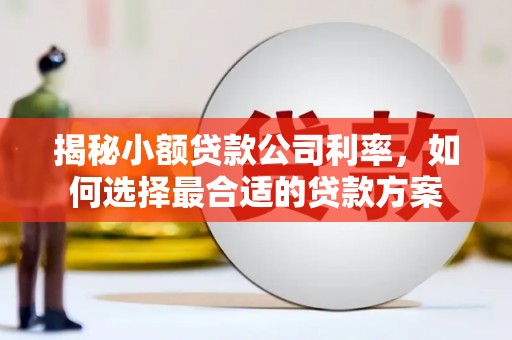 德兴揭秘小额贷款公司利率，如何选择最合适的贷款方案