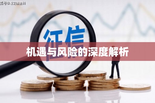 德兴机遇与风险的深度解析