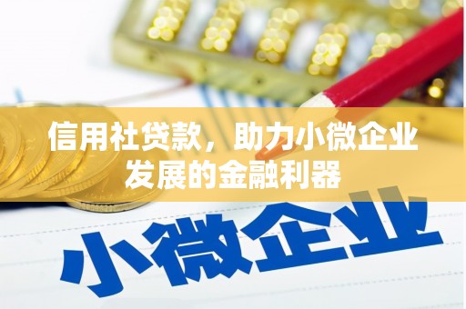德兴信用社贷款，助力小微企业发展的金融利器