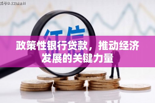 德兴政策性银行贷款，推动经济发展的关键力量