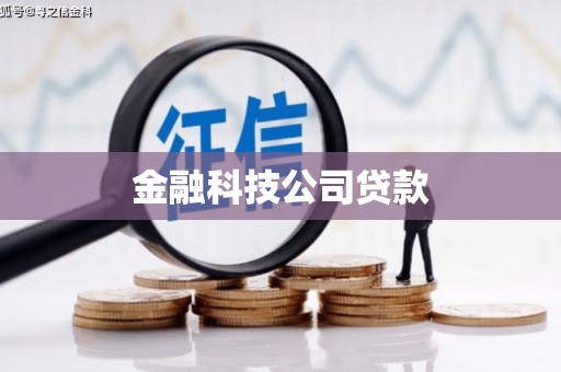 德兴金融科技公司贷款