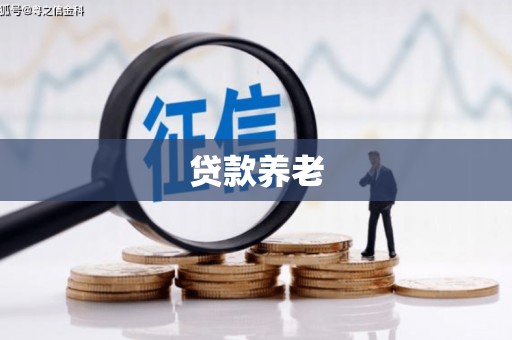德兴贷款养老