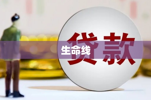 德兴生命线