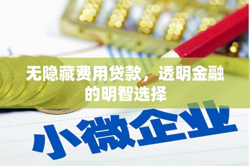 德兴无隐藏费用贷款，透明金融的明智选择