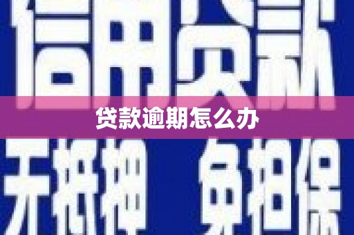 德兴贷款逾期怎么办
