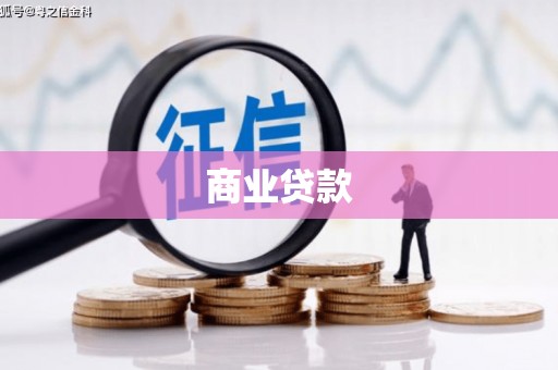 德兴商业贷款