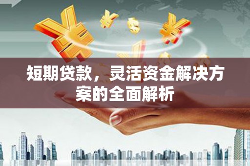 德兴短期贷款，灵活资金解决方案的全面解析