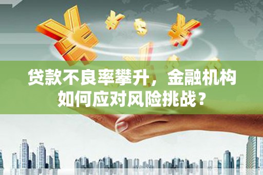 德兴贷款不良率攀升，金融机构如何应对风险挑战？
