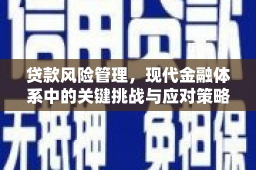 德兴贷款风险管理，现代金融体系中的关键挑战与应对策略