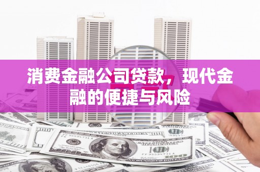 德兴消费金融公司贷款，现代金融的便捷与风险