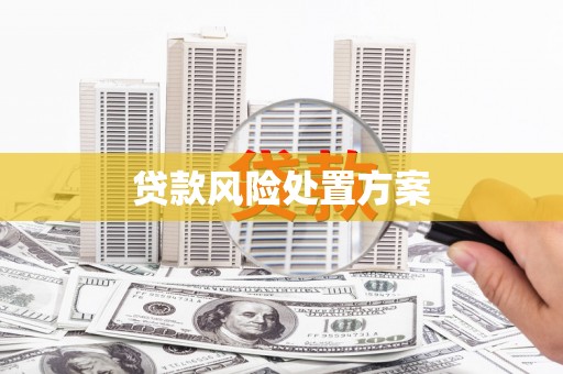 德兴贷款风险处置方案