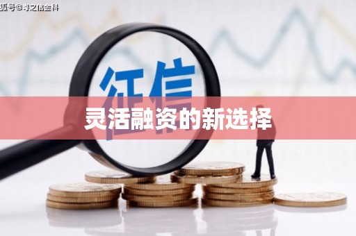 德兴灵活融资的新选择