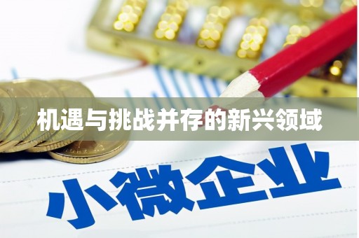 德兴机遇与挑战并存的新兴领域