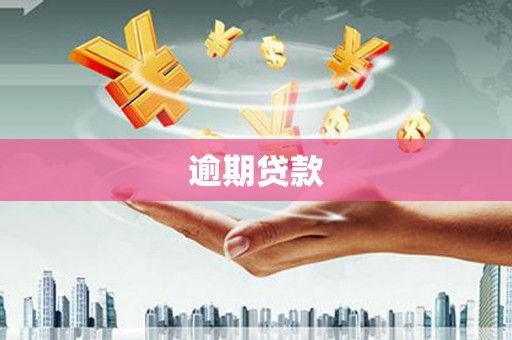 德兴逾期贷款