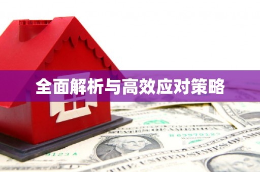 德兴全面解析与高效应对策略