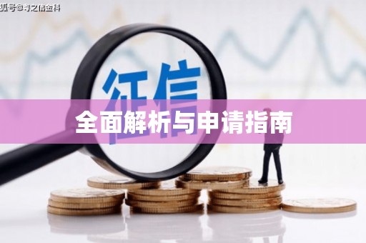 德兴全面解析与申请指南