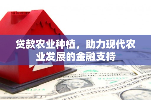 德兴贷款农业种植，助力现代农业发展的金融支持